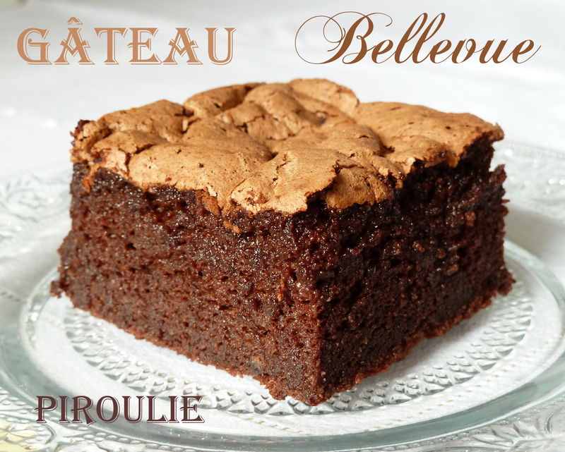 Bellevue : Gâteau au chocolat mousseux #1 de C. Felder